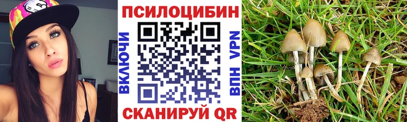 Галлюциногенные грибы ЛСД сколько стоит Мирный
