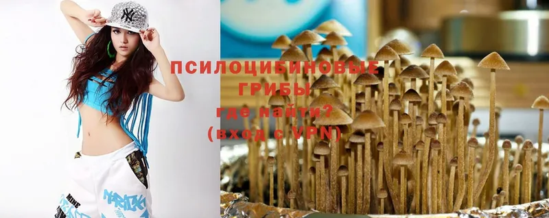 Псилоцибиновые грибы Psilocybe  Мирный 