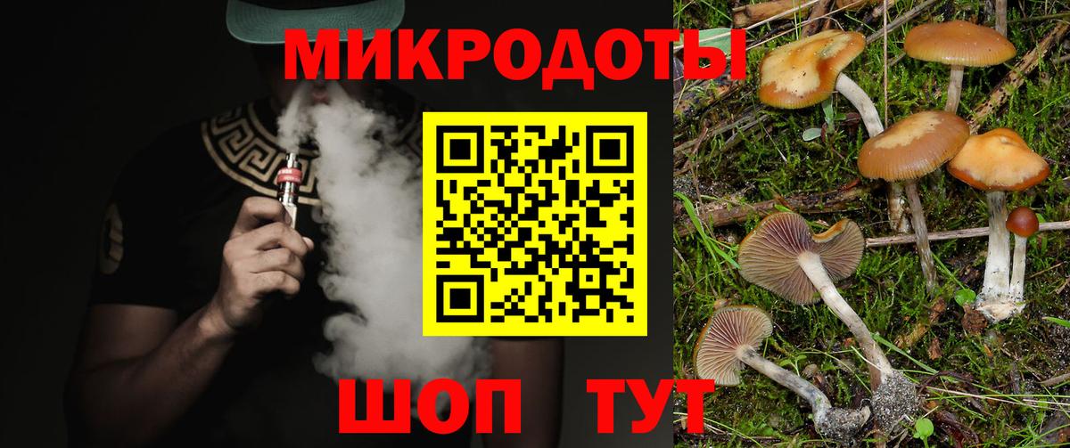 Псилоцибиновые грибы Psilocybine cubensis  Вход с VPN  Мирный 