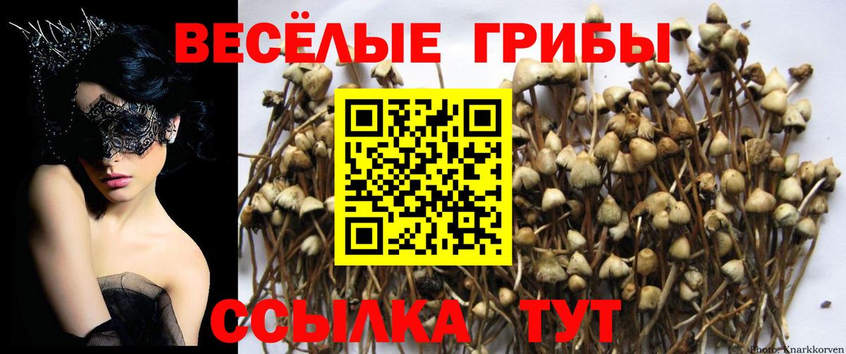 Псилоцибиновые грибы Magic Shrooms Мирный